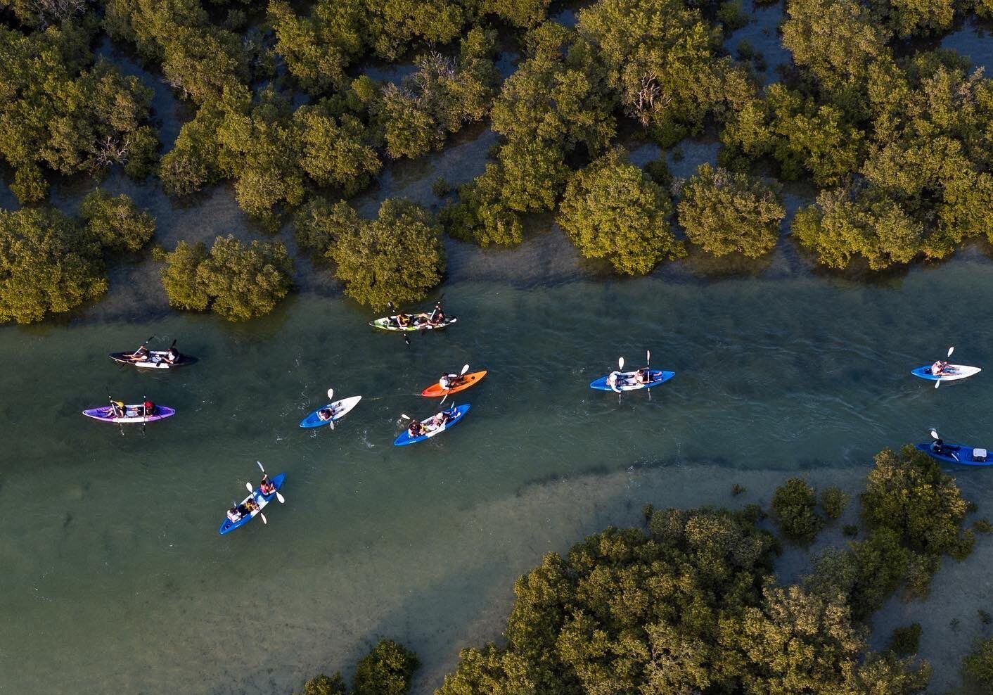Personas recorren los manglares de Qatar en kayak. (Foto: Twitter Road to 2022 Español)