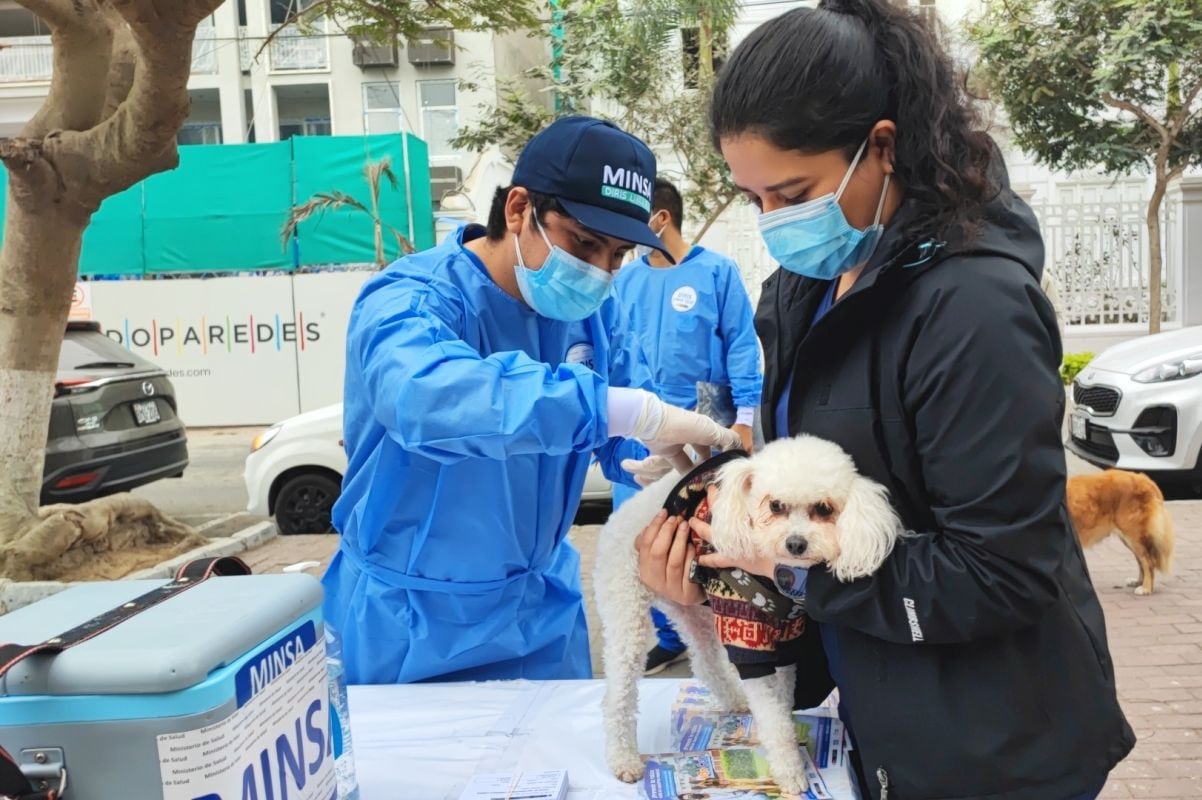 Vacunarán contra la rabia a más de 220 mil canes en distritos de Lima Sur